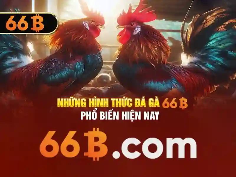  sân chơi slot - 66B