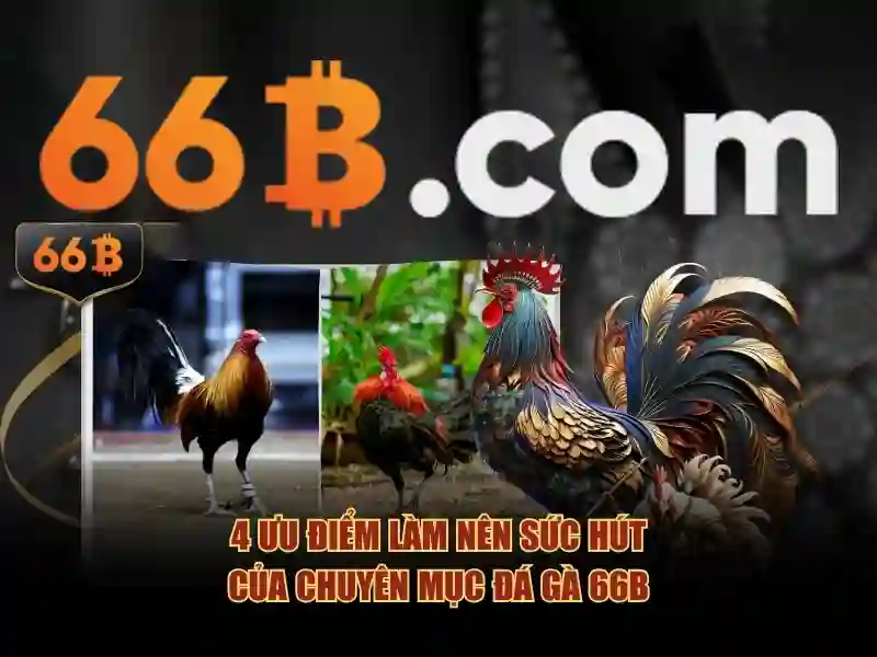 66B – Trang Chủ 66B Mới Nhất 2026 | Slot Đa Dạng, Trải Nghiệm Cực Sướng - 66B