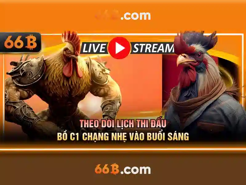 66B - 66B