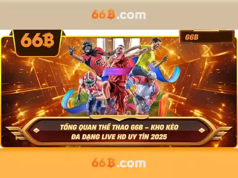 dịch vụ Slot - 66B