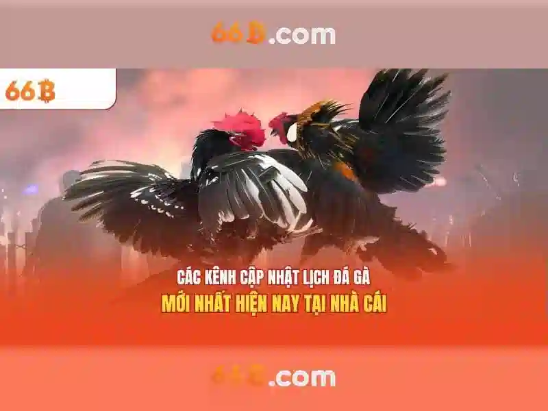  Mậu Binh trực tuyến - 66B