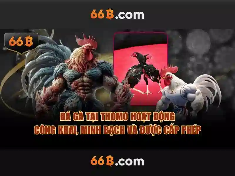 66B - 66B