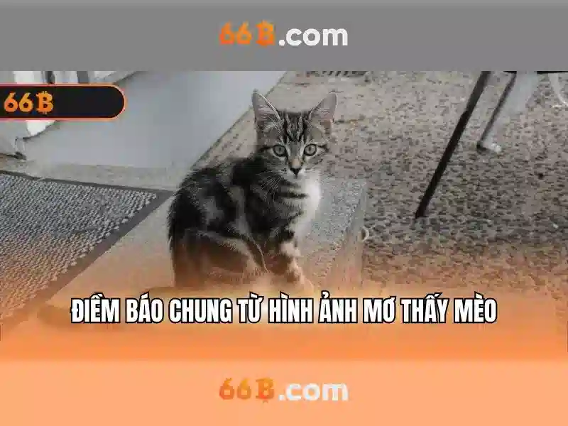  quên mật khẩu 66b - 66B