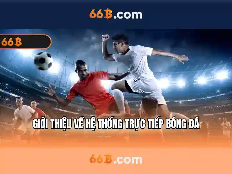  thông tin cá nhân - 66B