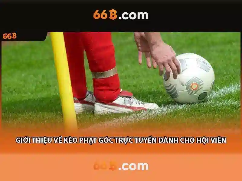  66b triều khúc 2026 - 66B