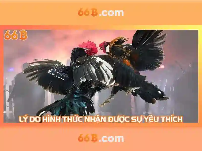 điều khoản 66B - 66B