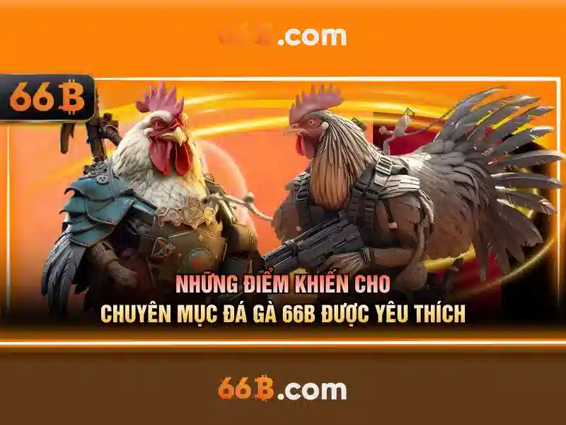 khuyến mãi 66B - 66B