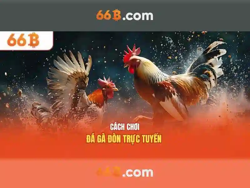  Slot an toàn không - 66B