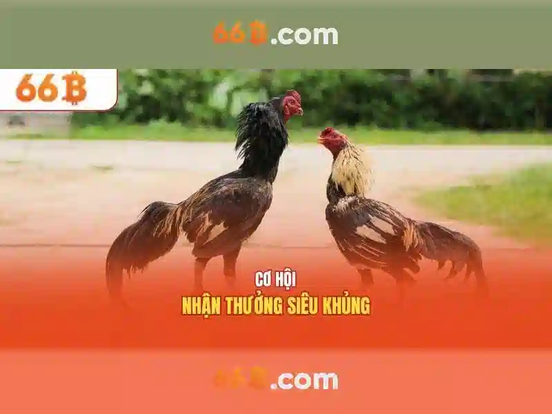 66B – Trải Nghiệm Game Slot Đỉnh Cao 2026 - 66B