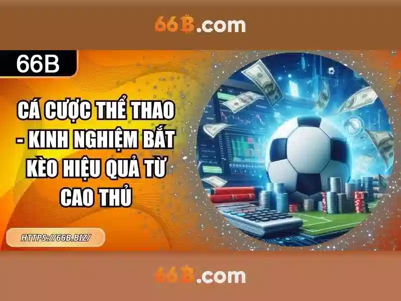 rút tiền 66b - 66B
