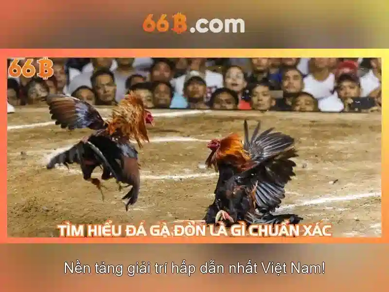 Kinh Nghiệm Giao Dịch 66B - Thủ Thuật Chuyên Sâu Cho Slot 2026 - 66B