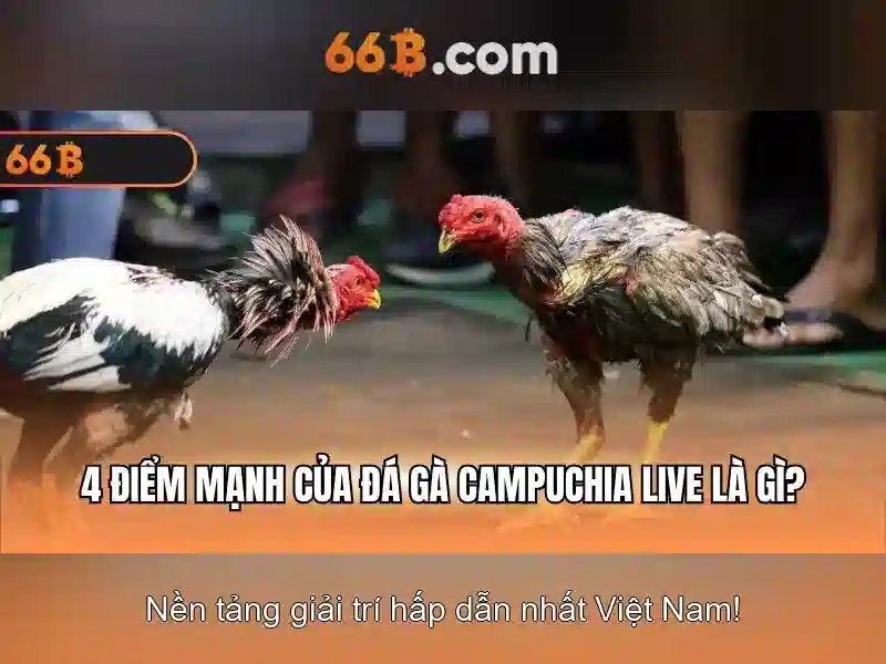 tài xỉu 66b - 66B