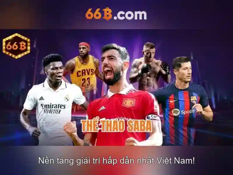  đánh giá 66b - 66B