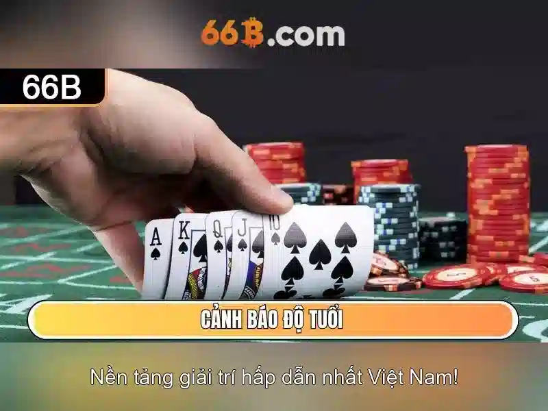  quản lý vốn - 66B