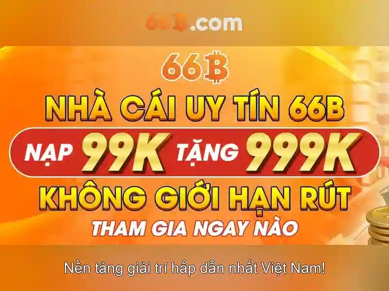 điều khoản dịch vụ - 66B