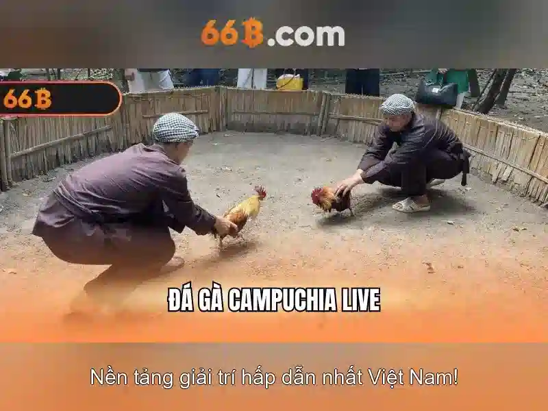  phương thức nạp tiền 66B - 66B