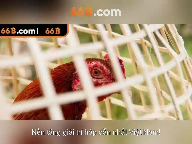  66B slot - 66B