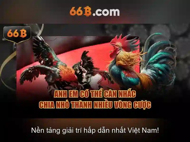 66B – Trang Chủ Ưu Đãi Slot Độc Quyền 2026 - 66B