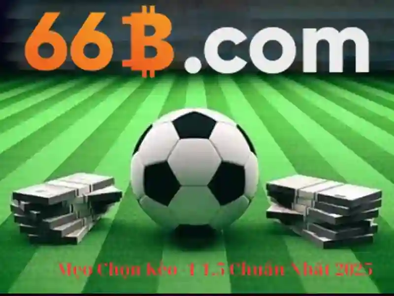 66b - Nền tảng cá cược trực tuyến đỉnh cao cho người chơi