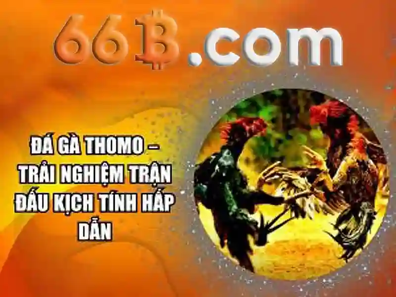 66B – Trải Nghiệm Slot Đỉnh Cao Với 66B APK 2026 - 66B