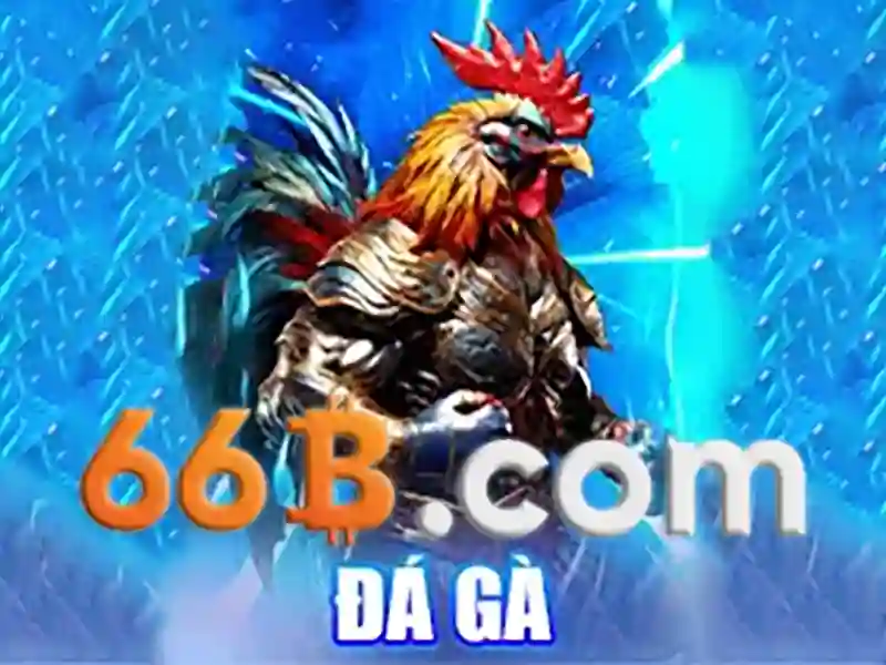 66b - Nền tảng cá cược trực tuyến đỉnh cao cho người chơi