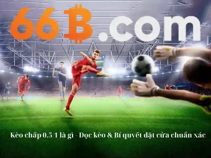 66B - 66B