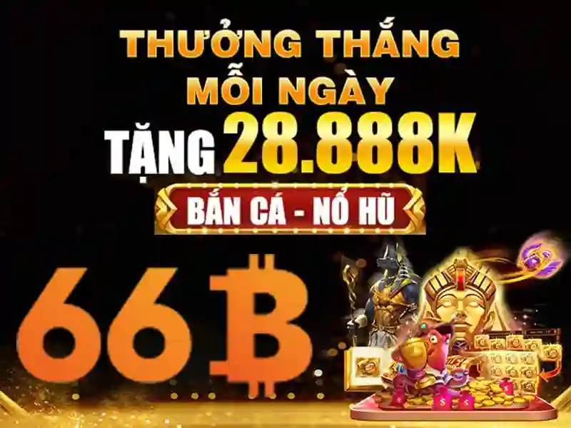 66b - Nền tảng cá cược trực tuyến đỉnh cao cho người chơi