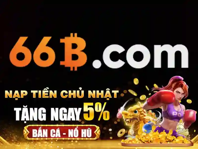  ví điện tử 66B - 66B